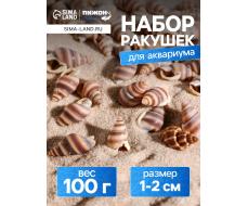 Набор ракушек, 1 - 2 см, 100 г