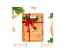 Пакет подарочный новогодний «Послание от деда мороза и снегурочки», полиэтиленовый с вырубной ручкой, 30×40 см ФАСОВКА по 20 штук!