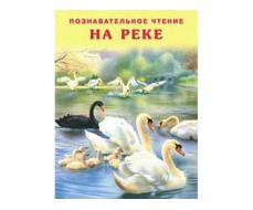 КНИЖКИ В МЯГКОЙ ОБЛОЖКЕ. СЕРИЯ "ПОЗНАВАТЕЛЬНОЕ ЧТЕНИЕ" НА РЕКЕ 22662