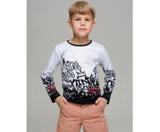 Детский лонгслив DLS047