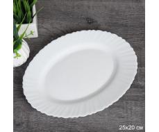 Блюдо овальное 250 мм Классика / WQH100 (white) /уп 48/