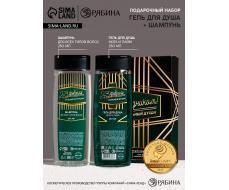 Подарочный набор «С 23 Февраля!»: гель для душа и шампунь для волос, 2×250 мл, HARD LINE