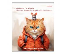 В НАЛИЧИИ! Тетрадь 48л. клетка "Иностранный язык"серия "Жил был кот"