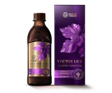 Концентрат полифенолов красных сортов винограда с ГИНКГО БИЛОБА и витамином РР Крымский травник