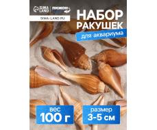 Набор ракушек, 3 - 5 см, 100 г
