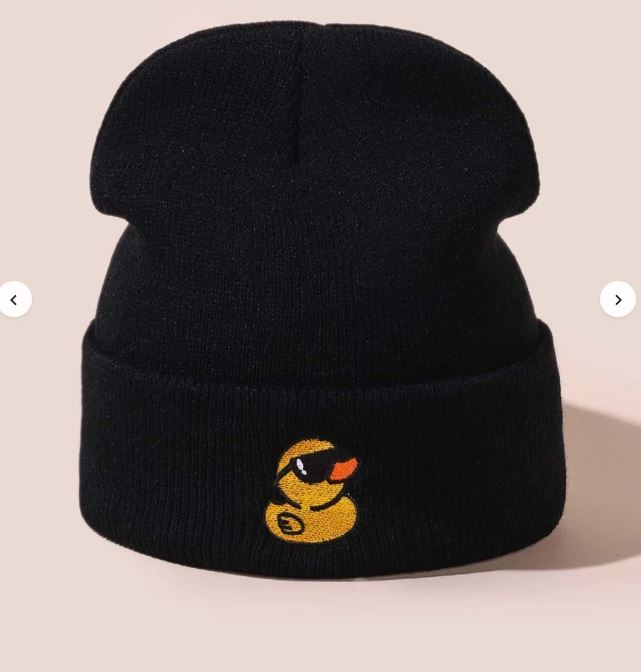 Duck Embroidery Beanie SKU: sc2208062122663582