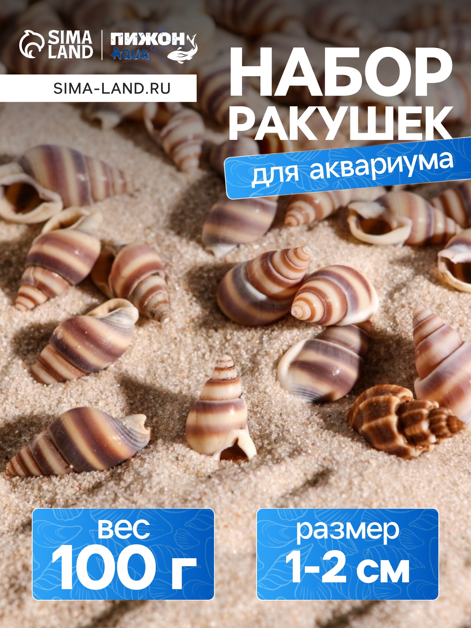 Набор ракушек, 1 - 2 см, 100 г