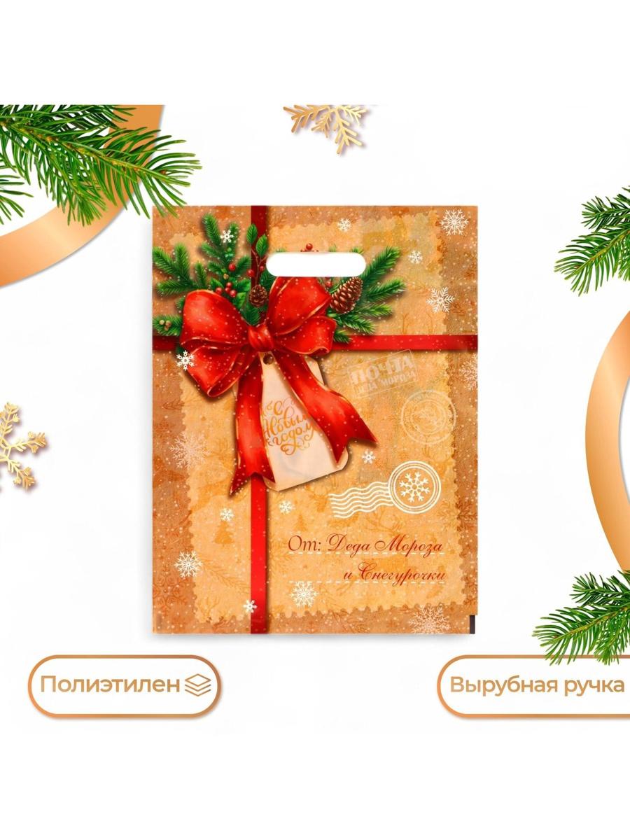 Пакет подарочный новогодний «Послание от деда мороза и снегурочки», полиэтиленовый с вырубной ручкой, 30×40 см ФАСОВКА по 20 штук!