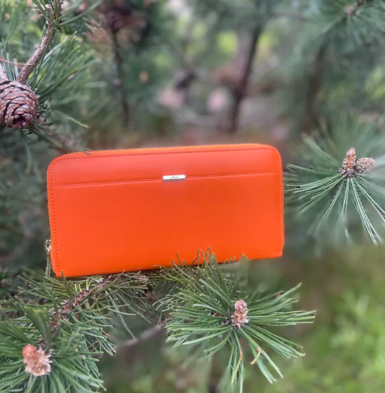 Кошелёк на " молнии " Moro Jenny MR-153#-76 L