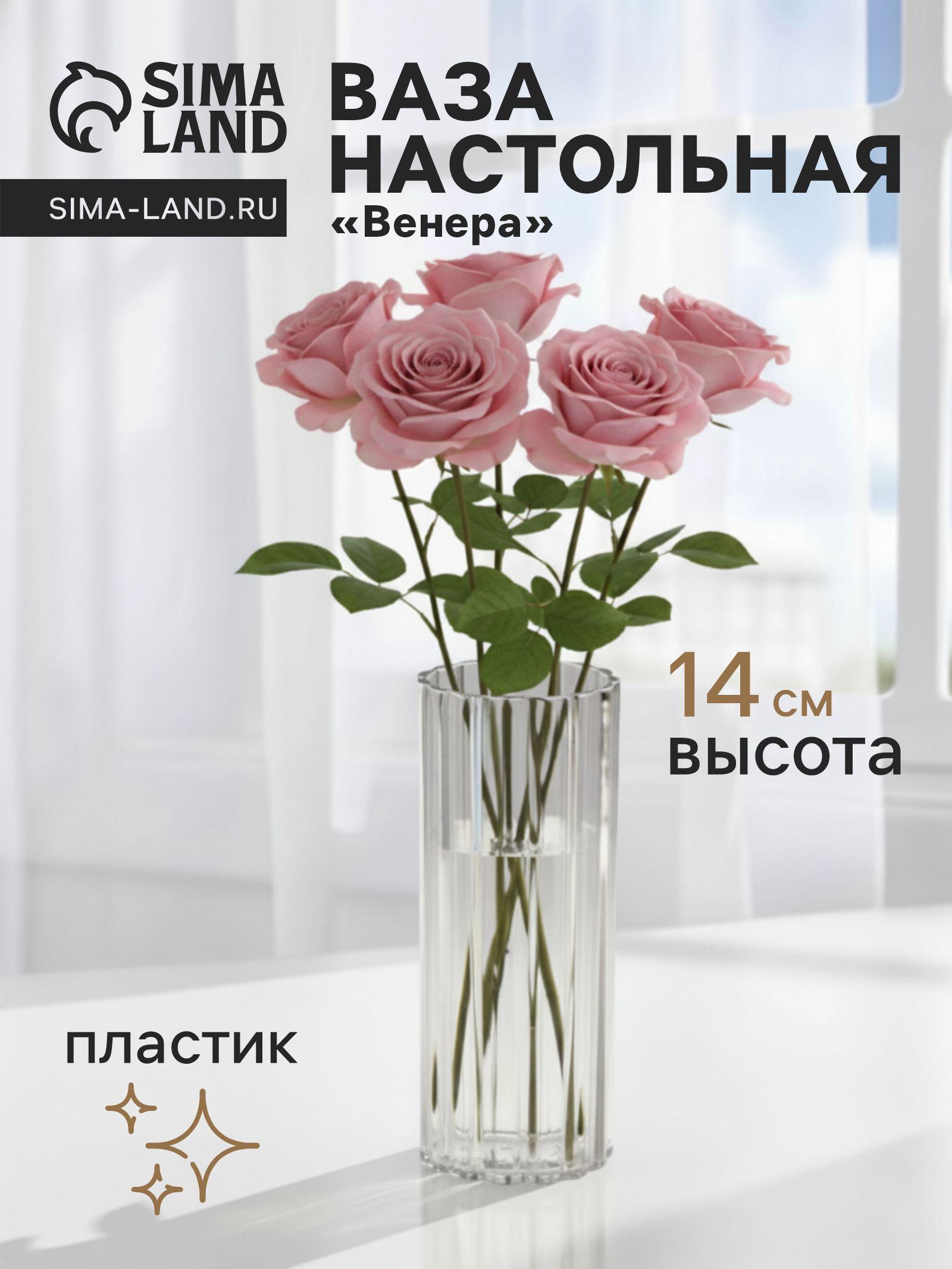 Ваза для цветов «Венера», 14×5 см, полосы, пластик, прозрачная