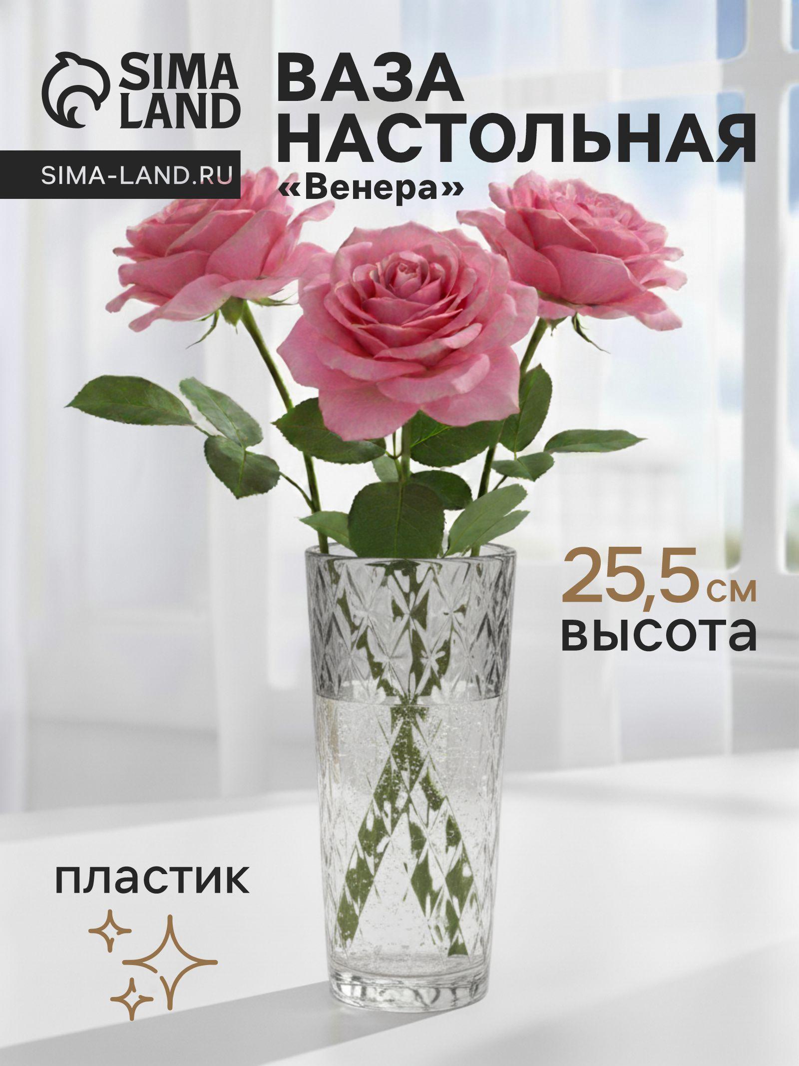 Ваза для цветов «Венера», 25.5×11.5 см, диагональ, пластик, прозрачная