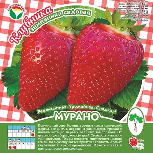 Клубника Мурано А 10шт/пучок (Сиб сад)