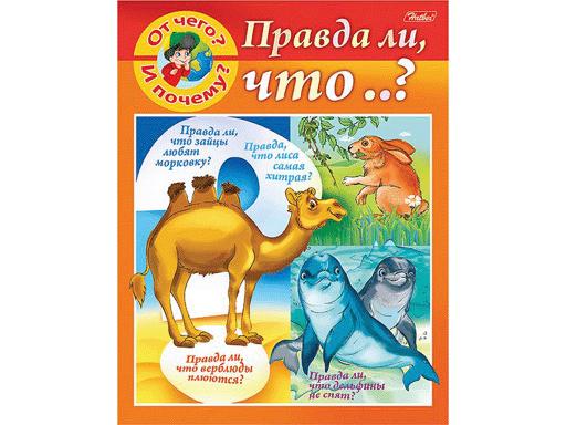 Книжка 8л А5ф цветной блок на скобе "Маленькому почемучке" -"От чего и почему? Правда ли что..?"-