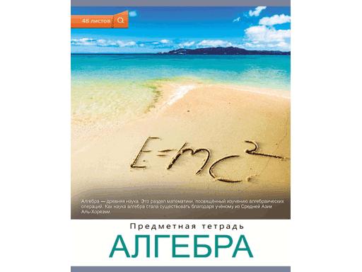 ТЕТРАДЬ КЛЕТКА 48Л. АЛГЕБРА. "МИР ВОКРУГ" (48-6352) БЕЗ ОБРАБОТКИ